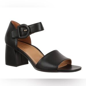 Vionic Chardonnay Heeled Sandal (Women) - Black Leather 8.5M